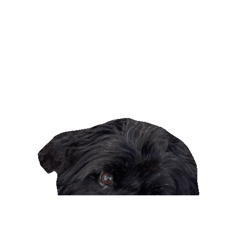 Vintage Brooklyn Sticker