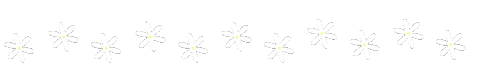 Flowers Spring Sticker