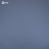 Tennis Pose GIF by WTA