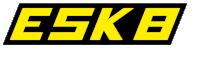electric skateboard Sticker