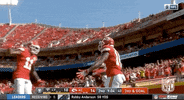 Regular Season Football GIF by NFL