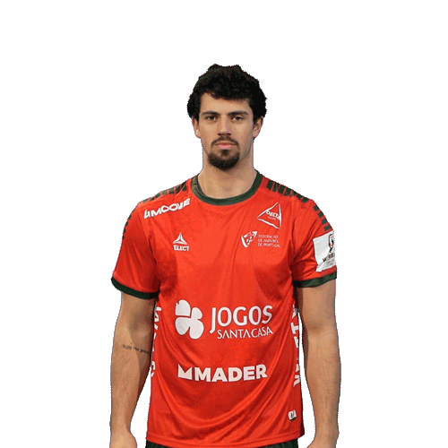 Letsgovamos Sticker by Federação de Andebol de Portugal