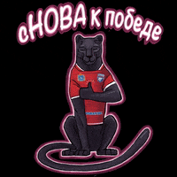 VolleyVFV volleyball nova волейбол нова GIF