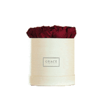 rose love Sticker by GRACE Flowerbox
