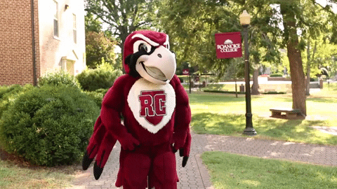 Thinking Rooney GIF by Roanoke College