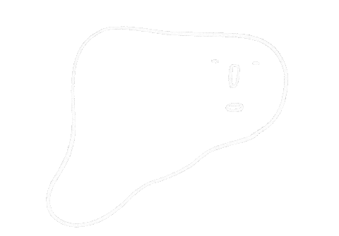 Illustration Drawing Sticker