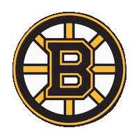 Boston Bruins Sticker by imoji