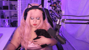 Black Cat Good Luck GIF
