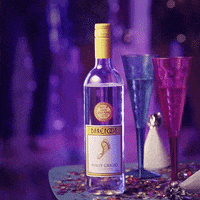 BarefootWineUK party dancing celebration celebrate GIF