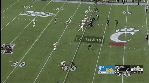 SchaufDS giphygifmaker GIF