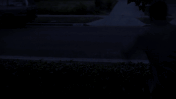 lethal weapon GIF by Fox TV