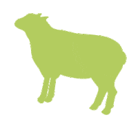La Ferme Lamb Sticker by A PET STORE