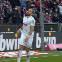 1 Fc Cologne Football GIF by 1. FC Köln
