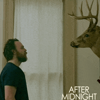 After Midnight Movie GIF by AMP International
