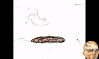 GIF by Alex Boya