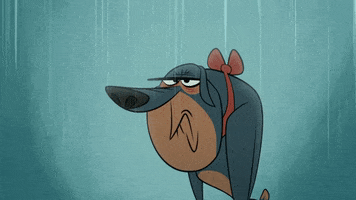Dog Raining GIF by Taffy