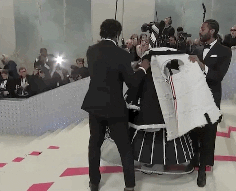 Met Gala GIF by E!