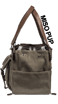 black dog Sticker by MISO PUP