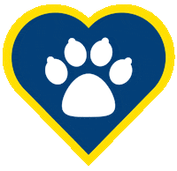 Islas Canarias Cat Sticker by Fred. Olsen Express