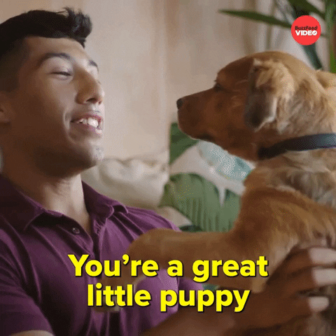 Puppy Love Dogs GIF by BuzzFeed