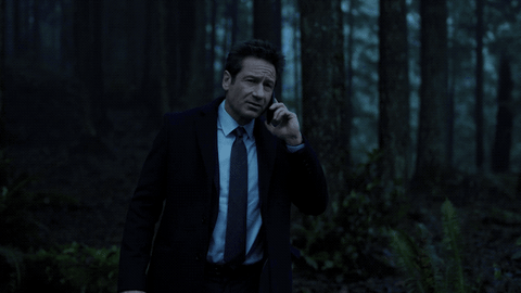 scully mulder GIF by The X-Files