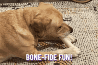 GIF by Planet Fitness