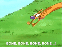 nicksplat GIF