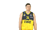 Ewe Baskets Basketball Sticker by EWE Baskets Oldenburg