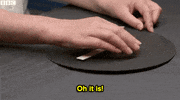 news world GIF