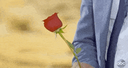 Episode 12 Bachelor Finale GIF by The Bachelor