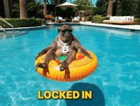 Monke GIF by Binance.US
