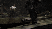 Indiana Jones Adventure GIF