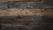 Cowboy Wood GIF by Ariat