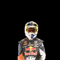 Dakar GIF by Red Bull
