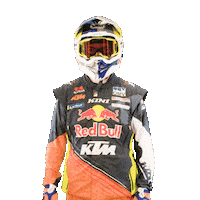 Dakar GIF by Red Bull