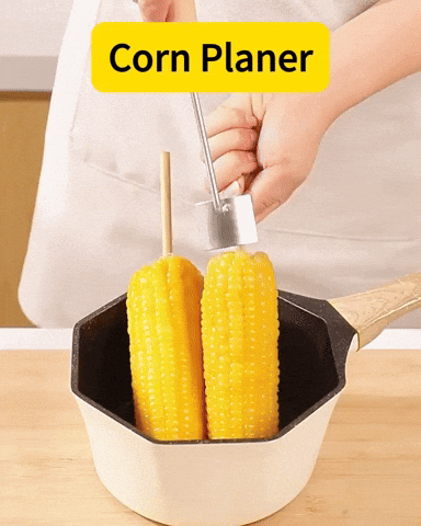 Roisse giphyupload GIF