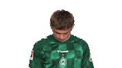 Look Up Werder Bremen Sticker by Bundesliga