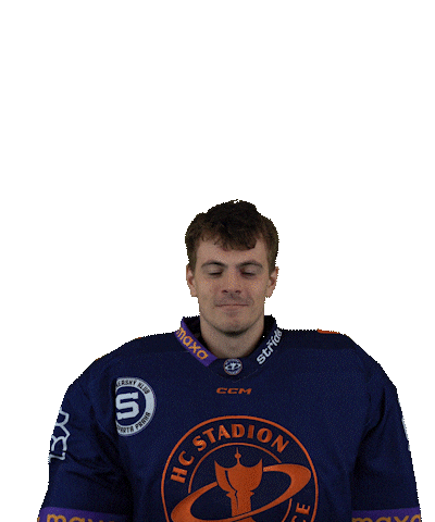 Sport Hokej Sticker by HCSTADION