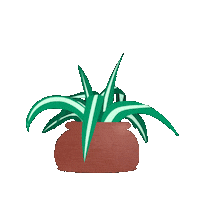 Water Plant Sticker by Stana_