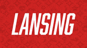 Premier League Football GIF by Lansing Common FC