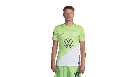 Germany Hello Sticker by VfL Wolfsburg