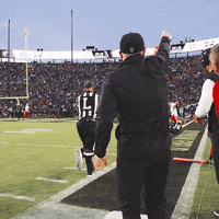 Excited College Football GIF by Wisconsin Badgers