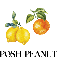 Orange Lemon Sticker by Posh Peanut