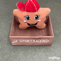 Kommunikation_LSB_RLP star twinkel sportjugend sporthilfe GIF