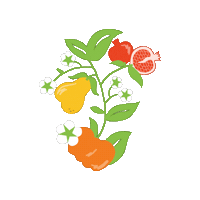 ObradorFlorida flores flor frutas granada Sticker