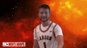Home Run Autograph GIF by Carson-Newman Athletics