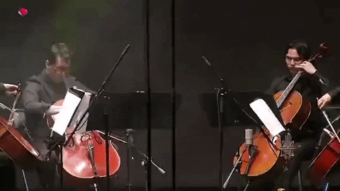 FIVLeon_MX giphygifmaker cuarteto piatti music quartet violoncello quartet GIF