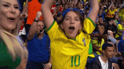Fan Brazil GIF by Volleyball World