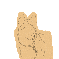 Embarrassed Dogs Sticker