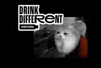 Refeel cat drink water different GIF